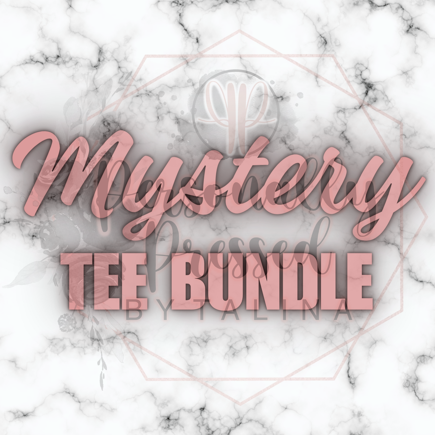 MYSTERY Tee Bundle 2XL-5XL LISTING