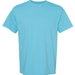 Beat my A** or Shut Up Shirt